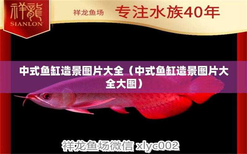 中式魚缸造景圖片大全（中式魚缸造景圖片大全大圖） B級過背金龍魚