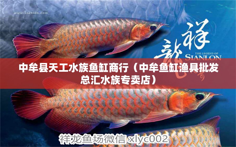 中牟縣天工水族魚缸商行（中牟魚缸漁具批發(fā)總匯水族專賣店）