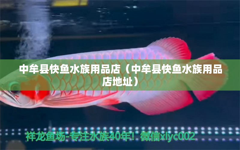 中牟縣快魚水族用品店（中牟縣快魚水族用品店地址）