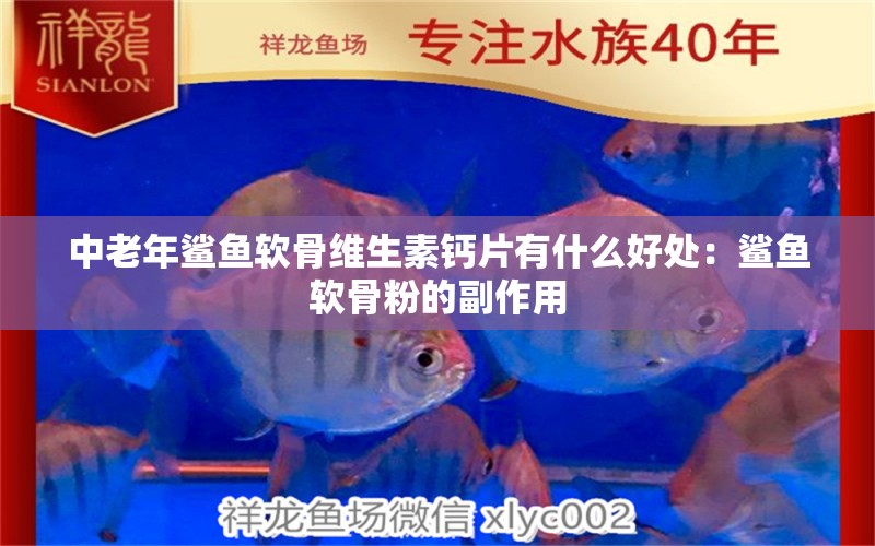 中老年鯊魚軟骨維生素鈣片有什么好處：鯊魚軟骨粉的副作用