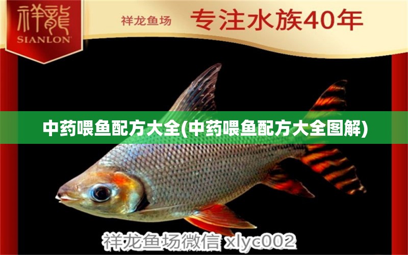 中藥喂魚配方大全(中藥喂魚配方大全圖解) 魚缸定做