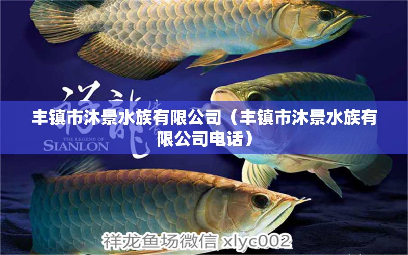 豐鎮(zhèn)市沐景水族有限公司（豐鎮(zhèn)市沐景水族有限公司電話） 全國水族館企業(yè)名錄