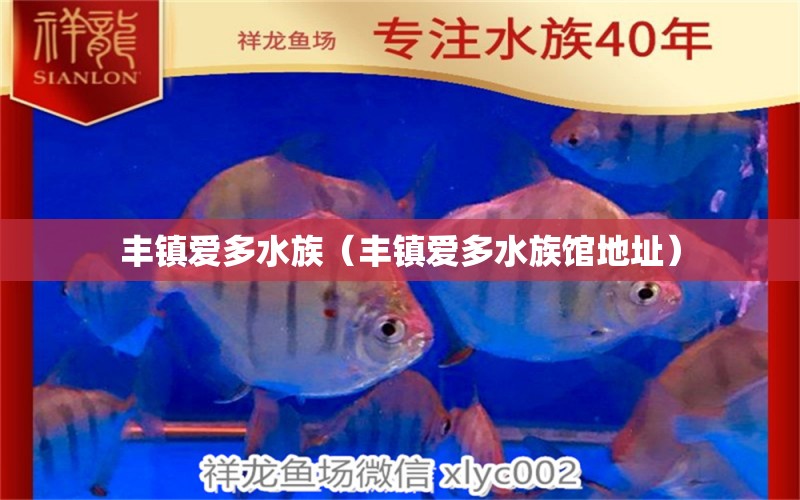 豐鎮(zhèn)愛多水族（豐鎮(zhèn)愛多水族館地址） 全國水族館企業(yè)名錄