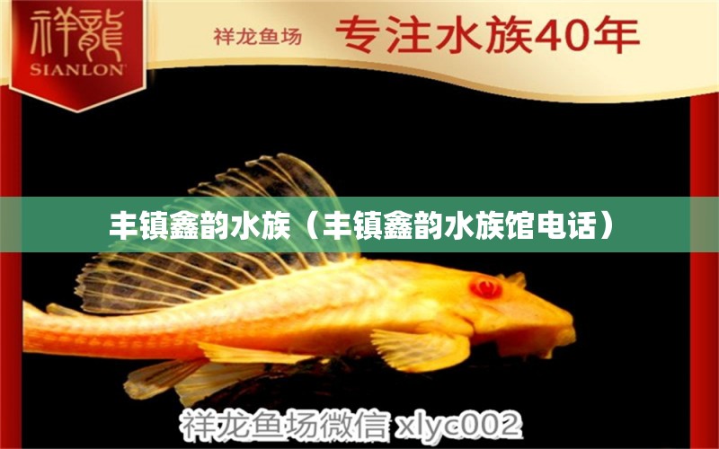 豐鎮(zhèn)鑫韻水族（豐鎮(zhèn)鑫韻水族館電話） 全國水族館企業(yè)名錄