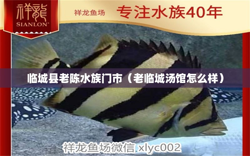 臨城縣老陳水族門市（老臨城湯館怎么樣） 全國水族館企業(yè)名錄