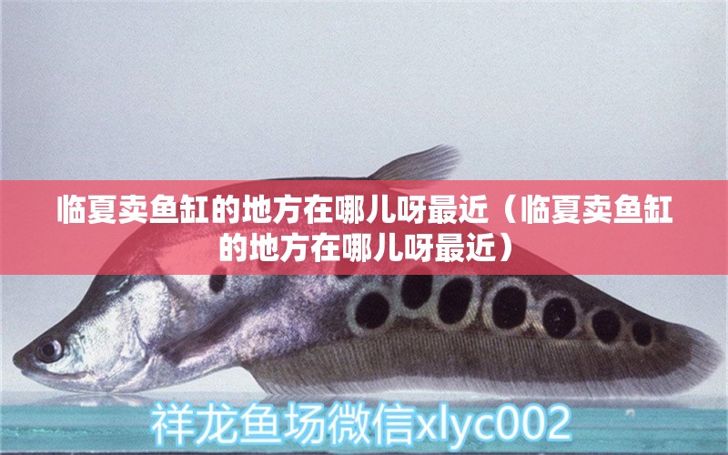 臨夏賣(mài)魚(yú)缸的地方在哪兒呀最近（臨夏賣(mài)魚(yú)缸的地方在哪兒呀最近） 銀龍魚(yú)