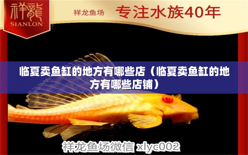 臨夏賣(mài)魚(yú)缸的地方有哪些店（臨夏賣(mài)魚(yú)缸的地方有哪些店鋪） 觀賞魚(yú)市場(chǎng)（混養(yǎng)魚(yú)）