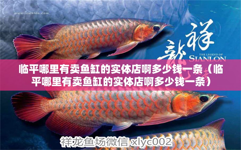 臨平哪里有賣魚缸的實(shí)體店啊多少錢一條（臨平哪里有賣魚缸的實(shí)體店啊多少錢一條）