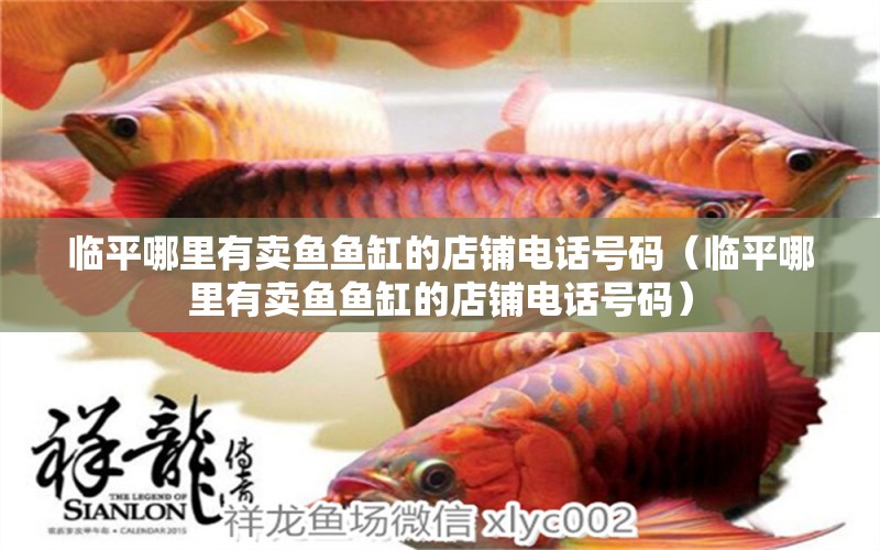 臨平哪里有賣魚魚缸的店鋪電話號碼（臨平哪里有賣魚魚缸的店鋪電話號碼）