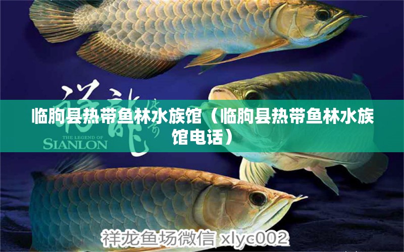 臨朐縣熱帶魚林水族館（臨朐縣熱帶魚林水族館電話）