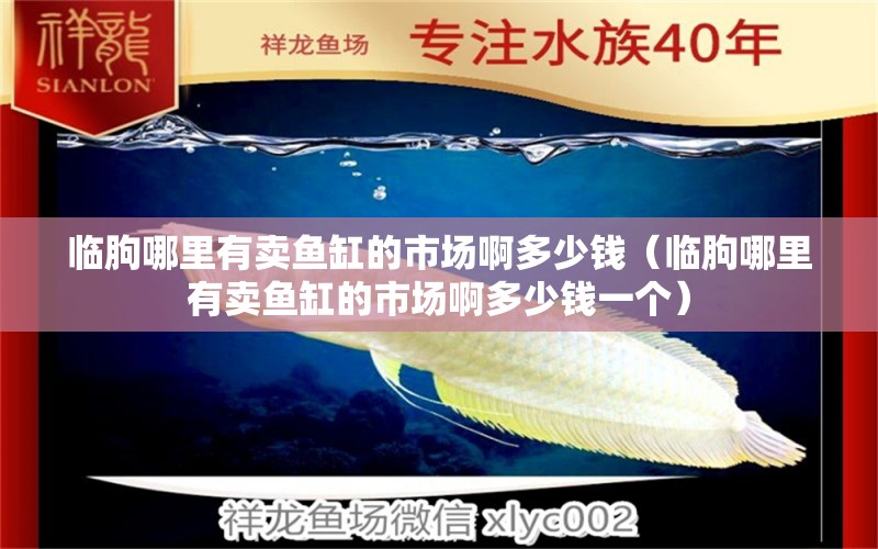 臨朐哪里有賣魚(yú)缸的市場(chǎng)啊多少錢(qián)（臨朐哪里有賣魚(yú)缸的市場(chǎng)啊多少錢(qián)一個(gè)）