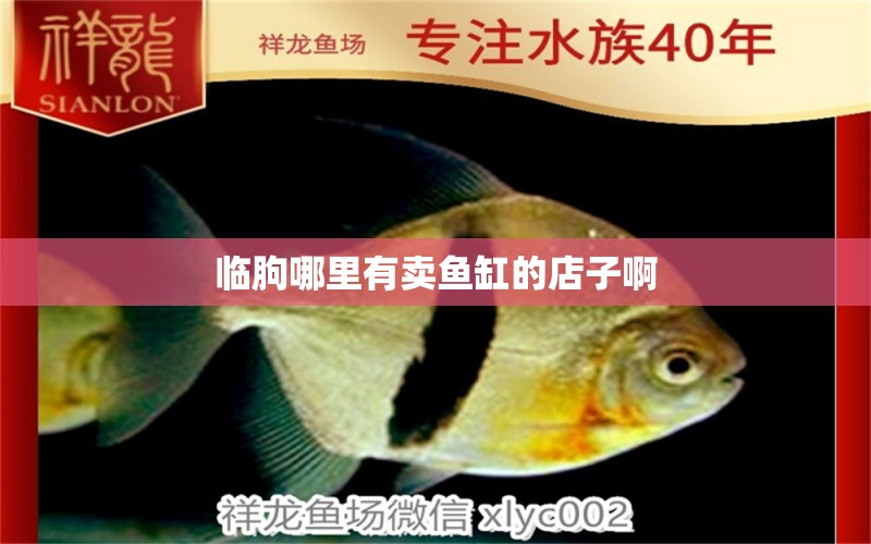 臨朐哪里有賣魚(yú)缸的店子啊