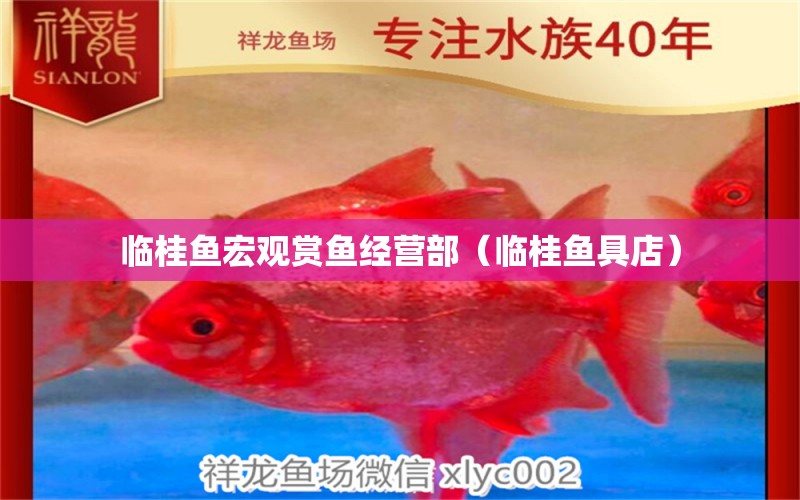 臨桂魚宏觀賞魚經(jīng)營部（臨桂魚具店）