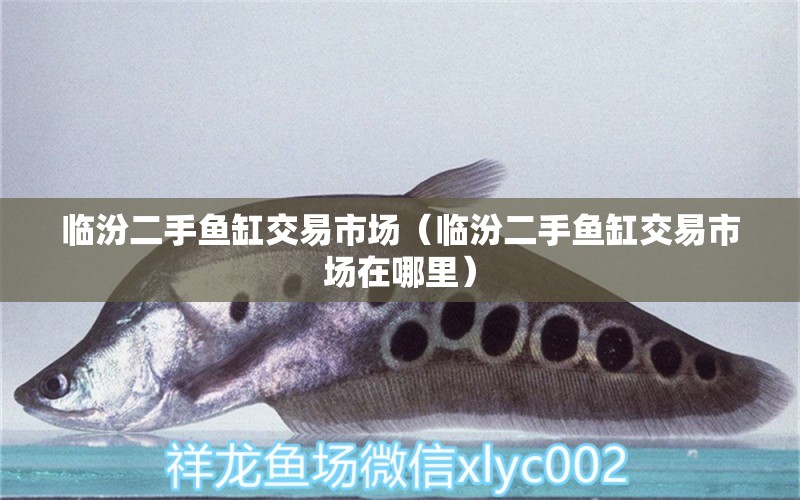 臨汾二手魚(yú)缸交易市場(chǎng)（臨汾二手魚(yú)缸交易市場(chǎng)在哪里） 其他品牌魚(yú)缸