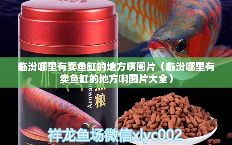 臨汾哪里有賣魚缸的地方啊圖片（臨汾哪里有賣魚缸的地方啊圖片大全）