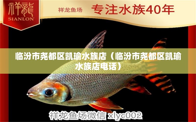 臨汾市堯都區(qū)凱瑜水族店（臨汾市堯都區(qū)凱瑜水族店電話）