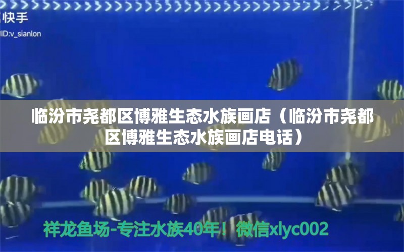 臨汾市堯都區(qū)博雅生態(tài)水族畫店（臨汾市堯都區(qū)博雅生態(tài)水族畫店電話）