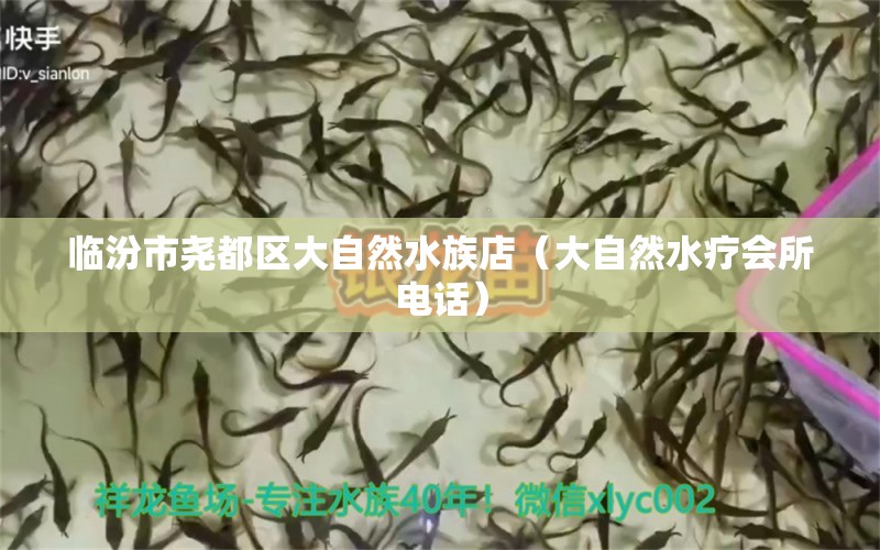 臨汾市堯都區(qū)大自然水族店（大自然水療會所電話）