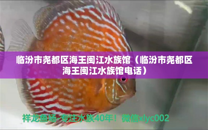 臨汾市堯都區(qū)海王閩江水族館（臨汾市堯都區(qū)海王閩江水族館電話） 全國水族館企業(yè)名錄