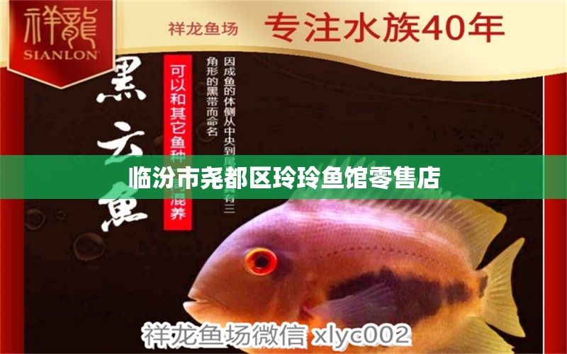 臨汾市堯都區(qū)玲玲魚館零售店 全國水族館企業(yè)名錄