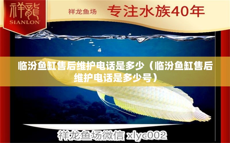 臨汾魚(yú)缸售后維護(hù)電話是多少（臨汾魚(yú)缸售后維護(hù)電話是多少號(hào)）