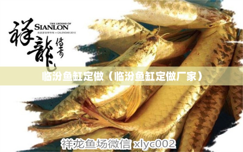 臨汾魚缸定做（臨汾魚缸定做廠家） 祥龍水族醫(yī)院