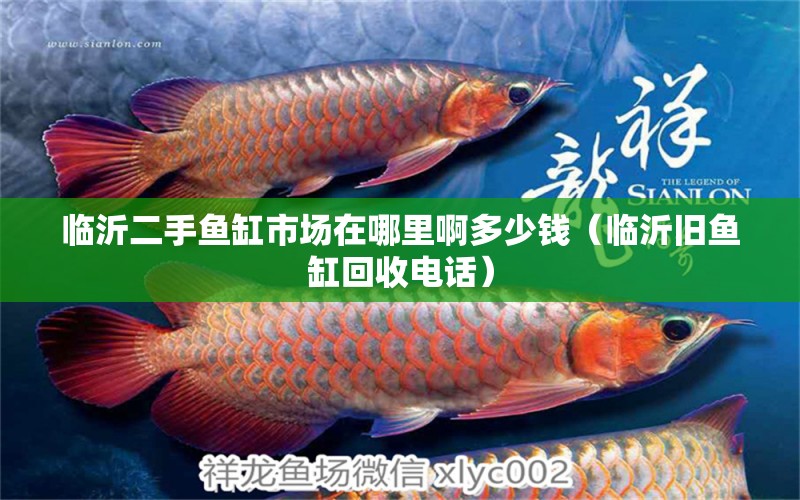 臨沂二手魚缸市場在哪里啊多少錢（臨沂舊魚缸回收電話） 廣州觀賞魚批發(fā)市場