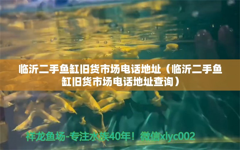 臨沂二手魚缸舊貨市場電話地址（臨沂二手魚缸舊貨市場電話地址查詢）