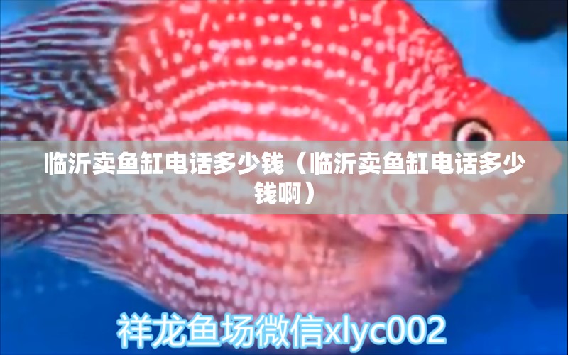 臨沂賣魚缸電話多少錢（臨沂賣魚缸電話多少錢?。?玫瑰銀版魚