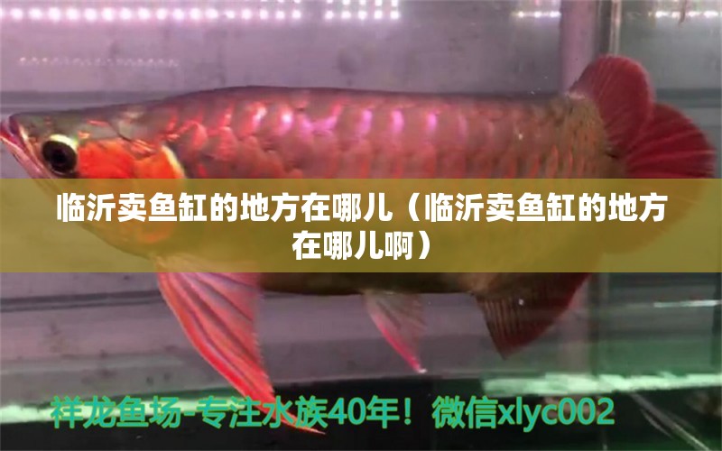 臨沂賣魚缸的地方在哪兒（臨沂賣魚缸的地方在哪兒?。?祥龍魚場(chǎng)