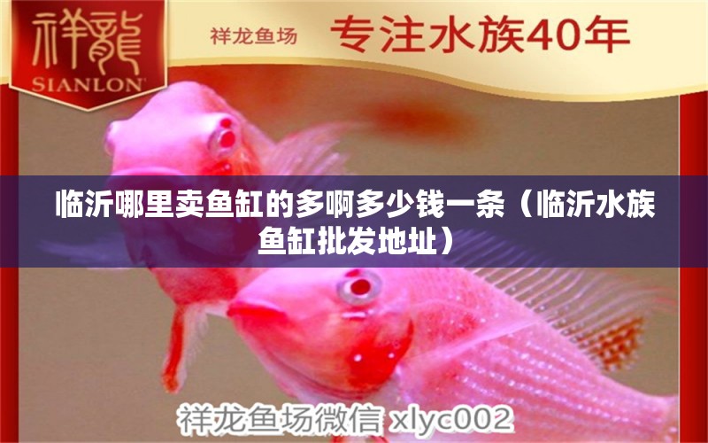 臨沂哪里賣魚缸的多啊多少錢一條（臨沂水族魚缸批發(fā)地址） 潛水泵