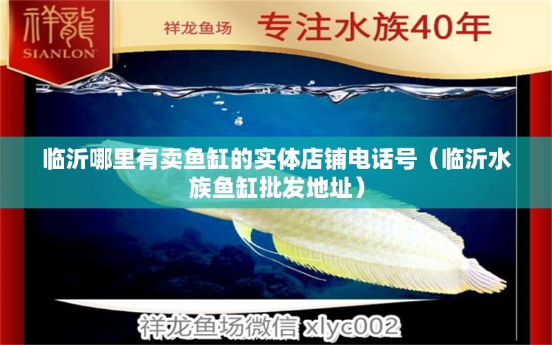 臨沂哪里有賣魚缸的實體店鋪電話號（臨沂水族魚缸批發(fā)地址）