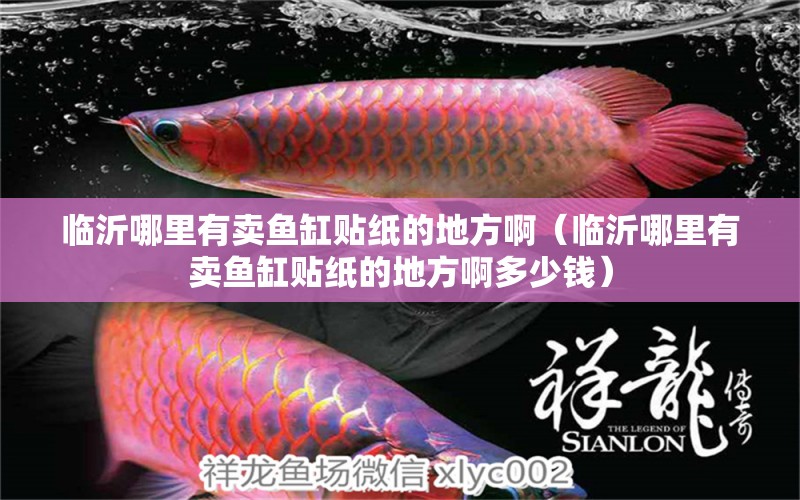 臨沂哪里有賣魚缸貼紙的地方?。ㄅR沂哪里有賣魚缸貼紙的地方啊多少錢） 定時器/自控系統(tǒng) 第1張