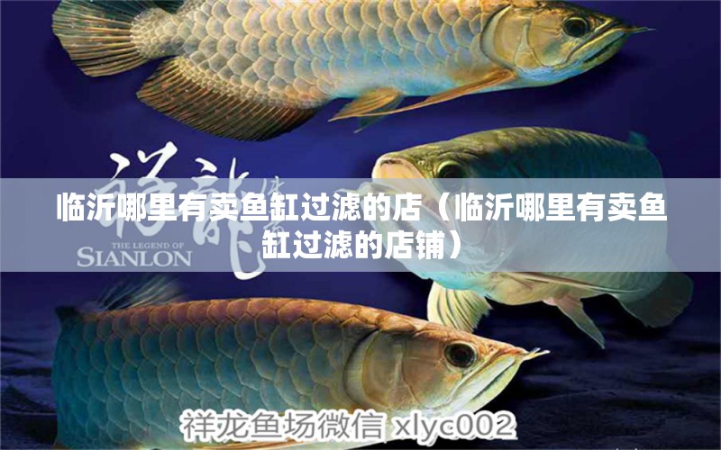 臨沂哪里有賣魚缸過濾的店（臨沂哪里有賣魚缸過濾的店鋪） 祥龍魚場