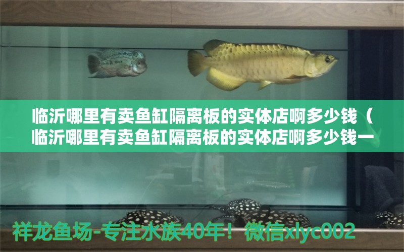 臨沂哪里有賣魚缸隔離板的實體店啊多少錢（臨沂哪里有賣魚缸隔離板的實體店啊多少錢一個）