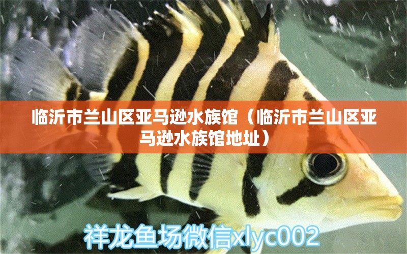 臨沂市蘭山區(qū)亞馬遜水族館（臨沂市蘭山區(qū)亞馬遜水族館地址） 全國(guó)水族館企業(yè)名錄