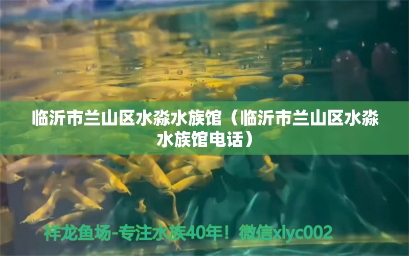 臨沂市蘭山區(qū)水淼水族館（臨沂市蘭山區(qū)水淼水族館電話） 全國水族館企業(yè)名錄