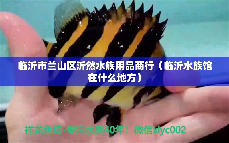 臨沂市蘭山區(qū)沂然水族用品商行（臨沂水族館在什么地方）