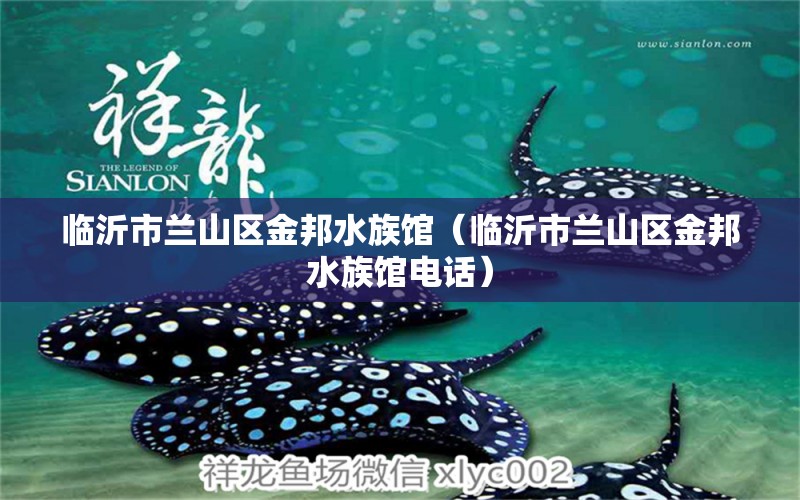 臨沂市蘭山區(qū)金邦水族館（臨沂市蘭山區(qū)金邦水族館電話）