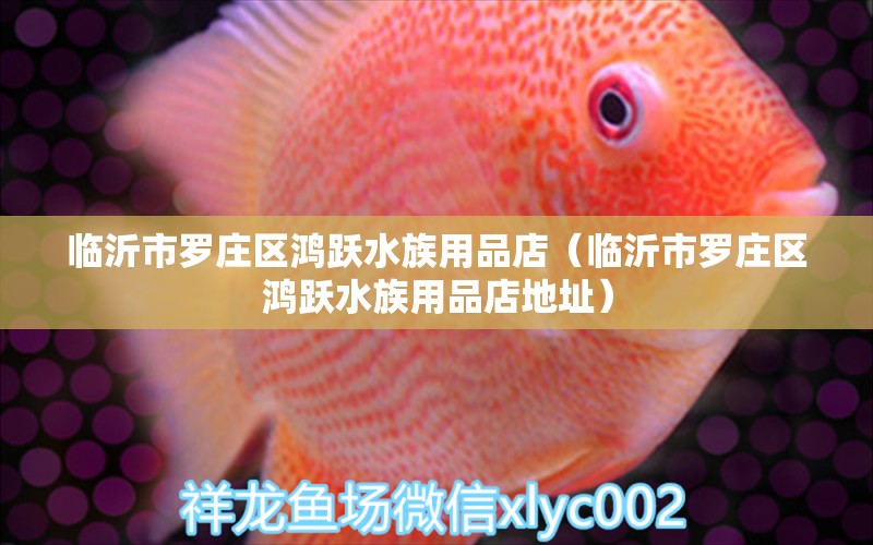 臨沂市羅莊區(qū)鴻躍水族用品店（臨沂市羅莊區(qū)鴻躍水族用品店地址） 水族用品