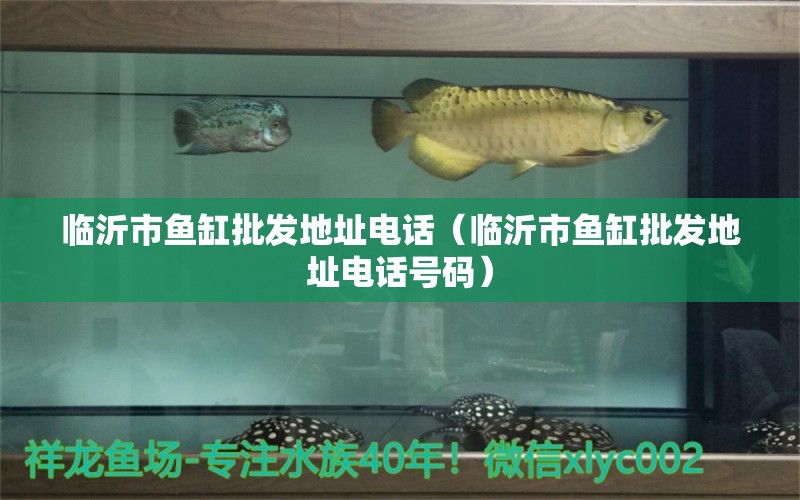 臨沂市魚(yú)缸批發(fā)地址電話（臨沂市魚(yú)缸批發(fā)地址電話號(hào)碼）