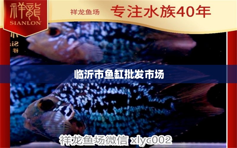 臨沂市魚(yú)缸批發(fā)市場(chǎng) 其他品牌魚(yú)缸