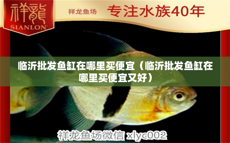 臨沂批發(fā)魚缸在哪里買便宜（臨沂批發(fā)魚缸在哪里買便宜又好）