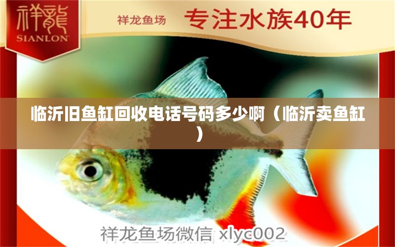 臨沂舊魚缸回收電話號(hào)碼多少?。ㄅR沂賣魚缸）