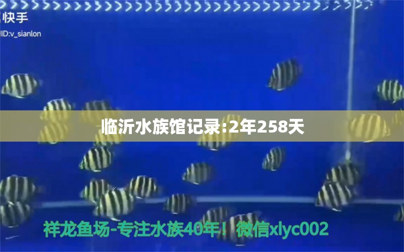 臨沂水族館記錄:2年258天 薩伊藍魚