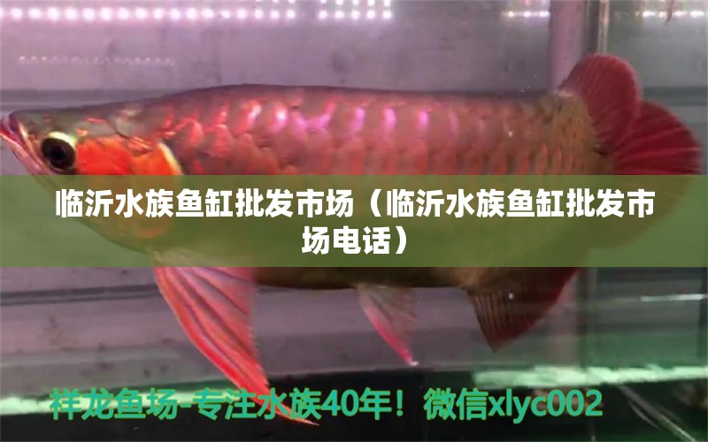 臨沂水族魚缸批發(fā)市場（臨沂水族魚缸批發(fā)市場電話）