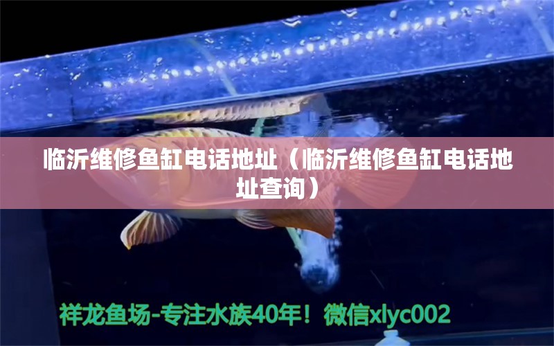 臨沂維修魚缸電話地址（臨沂維修魚缸電話地址查詢） 廣州觀賞魚批發(fā)市場(chǎng)