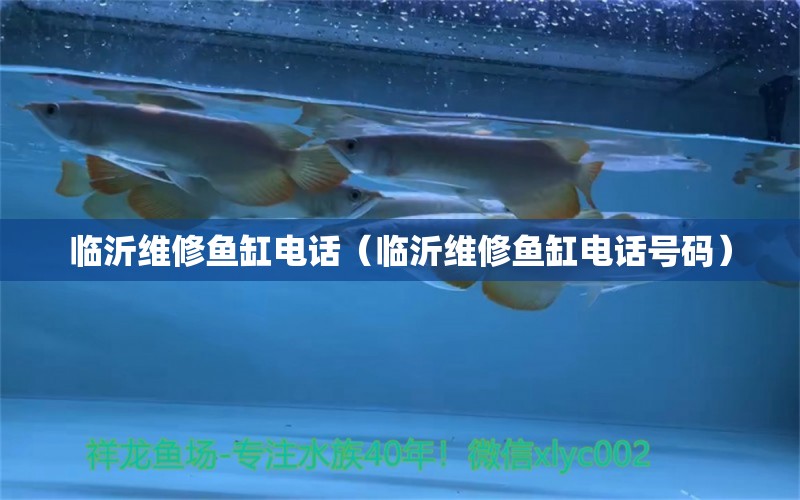 臨沂維修魚缸電話（臨沂維修魚缸電話號碼） 其他品牌魚缸