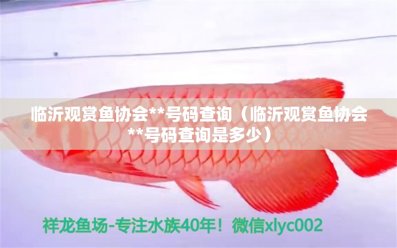 臨沂觀賞魚協(xié)會**號碼查詢（臨沂觀賞魚協(xié)會**號碼查詢是多少）