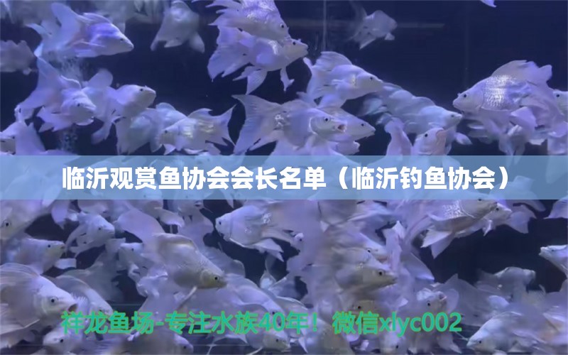 臨沂觀賞魚協(xié)會會長名單（臨沂釣魚協(xié)會） 垂釣樂園